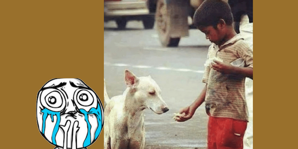 Small homeless kid helping Dog - Viral Pics of Helping People