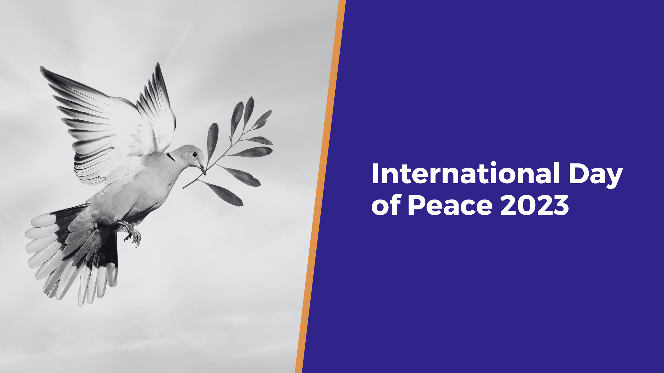 International Day of Peace 2023 (1)