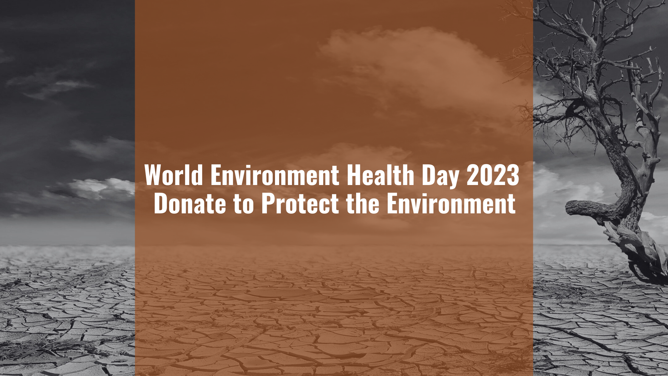 World Environment Health Day 2023 Donate to Protect the Environment