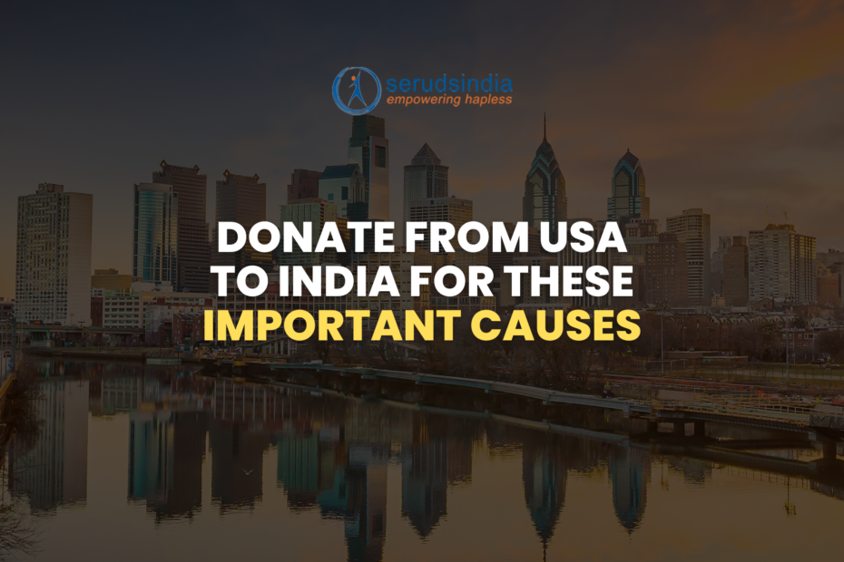 Donate From USA to India For These Important Causes